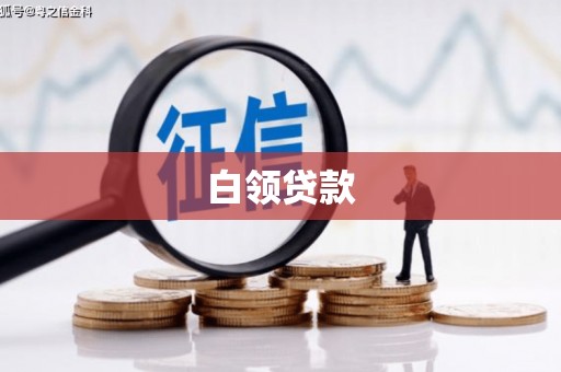 嵊泗白领贷款