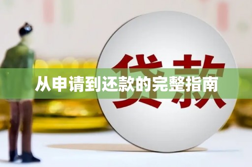 甘南从申请到还款的完整指南