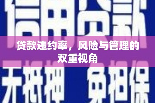 汉中贷款违约率，风险与管理的双重视角