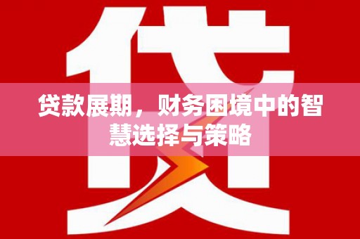 卑南贷款展期，财务困境中的智慧选择与策略