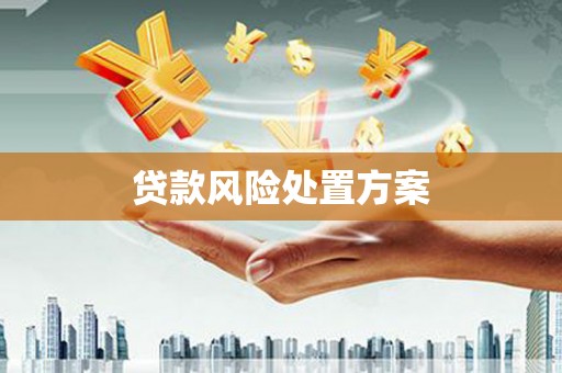 潭子贷款风险处置方案