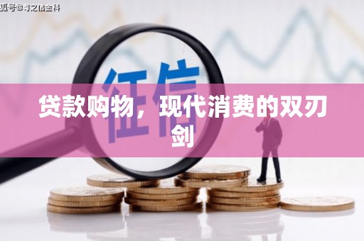 苓雅贷款购物，现代消费的双刃剑
