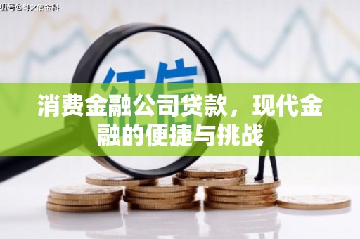 新园消费金融公司贷款，现代金融的便捷与挑战