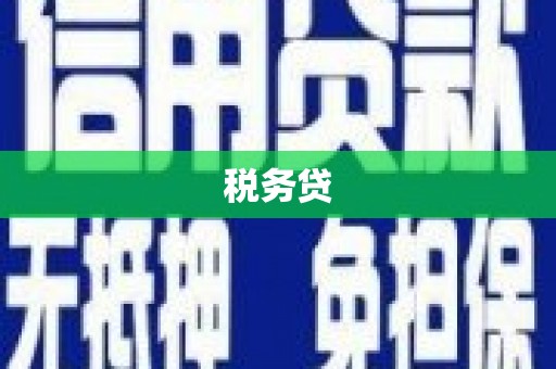 彬县税务贷