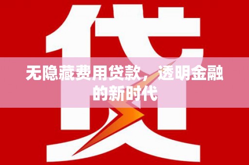 三湾无隐藏费用贷款，透明金融的新时代