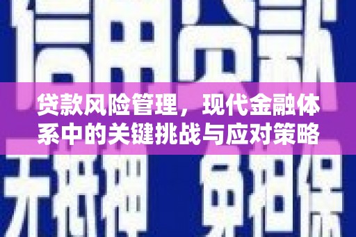 龙凤贷款风险管理，现代金融体系中的关键挑战与应对策略