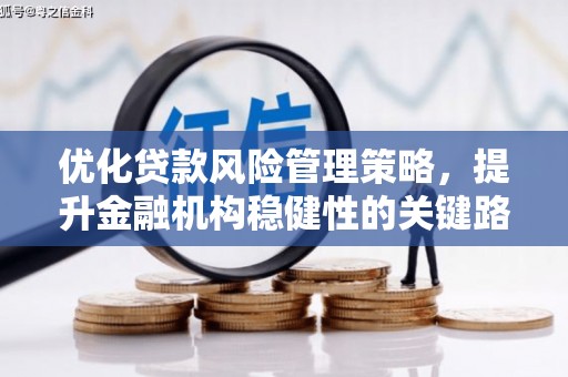 双清优化贷款风险管理策略，提升金融机构稳健性的关键路径
