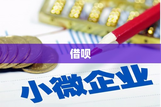 旬阳借呗