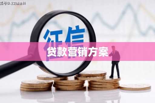 龙口贷款营销方案