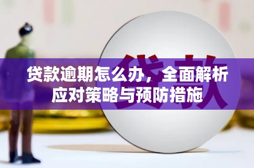 大安贷款逾期怎么办，全面解析应对策略与预防措施