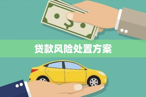 南山贷款风险处置方案