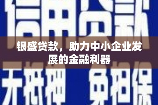 信州银盛贷款，助力中小企业发展的金融利器