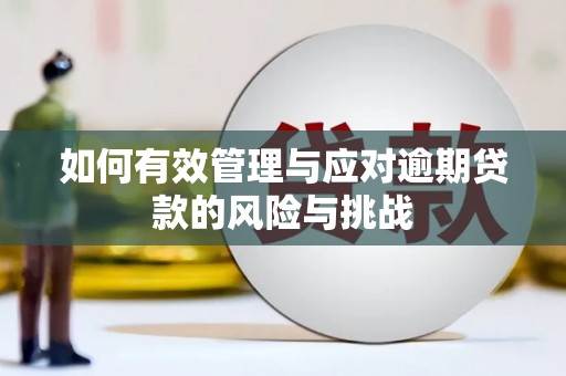 越城如何有效管理与应对逾期贷款的风险与挑战