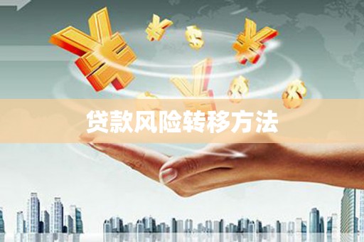 美姑贷款风险转移方法 美姑贷款风险转移方法