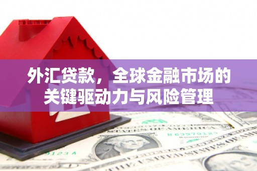 海南外汇贷款，全球金融市场的关键驱动力与风险管理