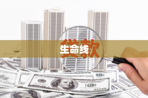 红寺堡生命线
