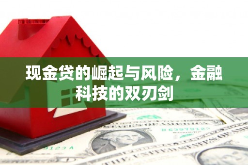 西陵现金贷的崛起与风险，金融科技的双刃剑