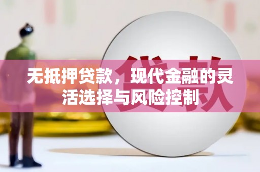 扶绥无抵押贷款，现代金融的灵活选择与风险控制