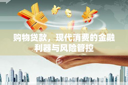 东西湖购物贷款，现代消费的金融利器与风险管控