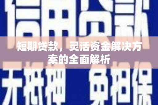 成武短期贷款，灵活资金解决方案的全面解析