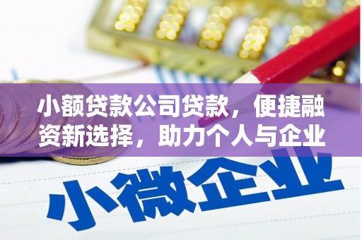 林芝小额贷款公司贷款，便捷融资新选择，助力个人与企业成长