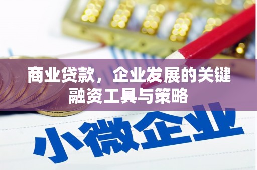 山上商业贷款，企业发展的关键融资工具与策略