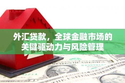 铁西外汇贷款，全球金融市场的关键驱动力与风险管理