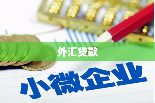 海港外汇贷款