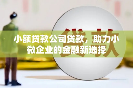 镇远小额贷款公司贷款，助力小微企业的金融新选择