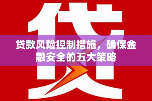 临潭贷款风险控制措施，确保金融安全的五大策略