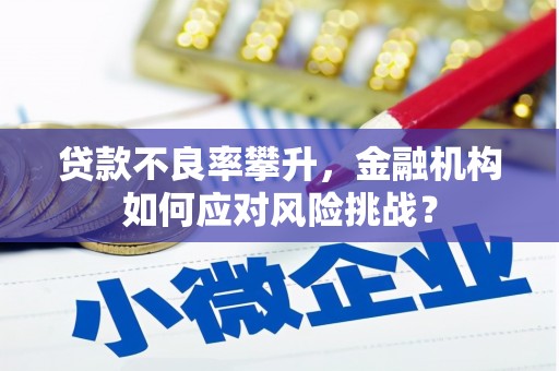延平贷款不良率攀升，金融机构如何应对风险挑战？