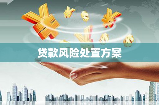 盐湖贷款风险处置方案