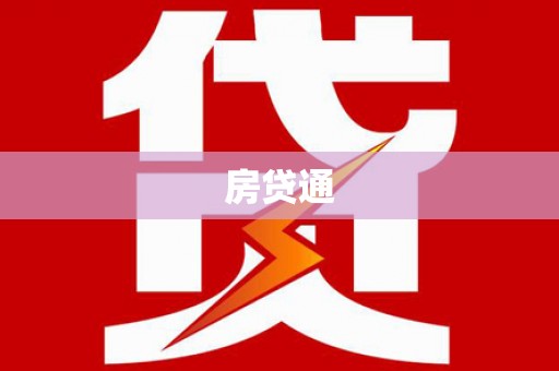 隆子房贷通
