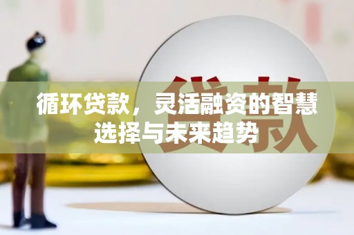温州循环贷款，灵活融资的智慧选择与未来趋势