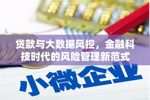 东营贷款与大数据风控，金融科技时代的风险管理新范式