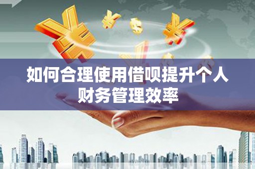 温泉如何合理使用借呗提升个人财务管理效率