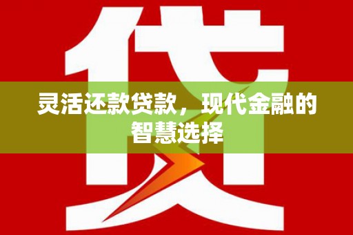 沙鹿灵活还款贷款，现代金融的智慧选择