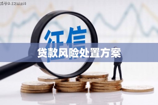 霍城贷款风险处置方案