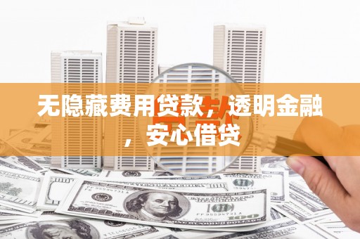 大武无隐藏费用贷款，透明金融，安心借贷