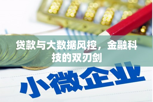 新林贷款与大数据风控，金融科技的双刃剑