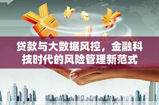 永定贷款与大数据风控，金融科技时代的风险管理新范式