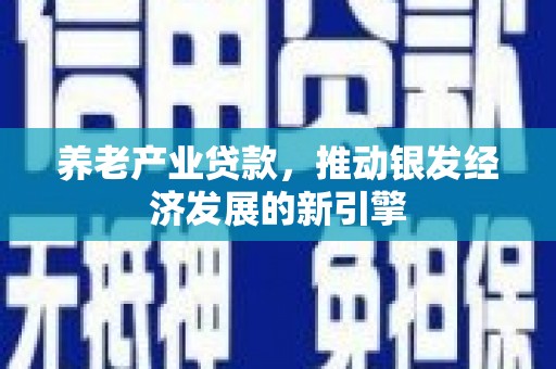 南郊养老产业贷款，推动银发经济发展的新引擎