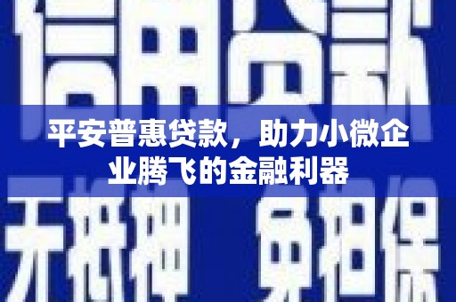 武川平安普惠贷款，助力小微企业腾飞的金融利器