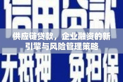 伊吾供应链贷款，企业融资的新引擎与风险管理策略