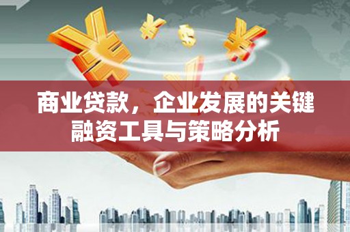 大武商业贷款，企业发展的关键融资工具与策略分析