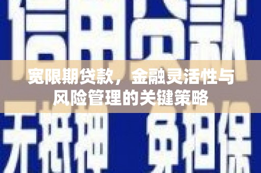 雁塔宽限期贷款，金融灵活性与风险管理的关键策略
