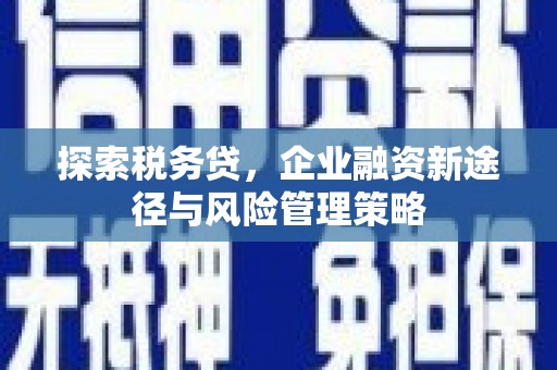 沛县探索税务贷，企业融资新途径与风险管理策略