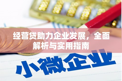 越西经营贷助力企业发展，全面解析与实用指南