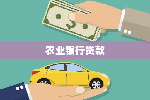 云龙农业银行贷款