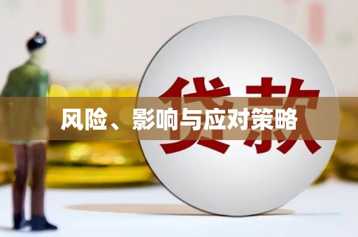 朔城风险、影响与应对策略
